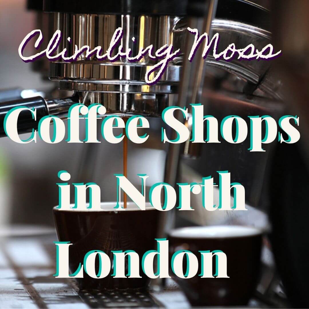 Coffee Shops In North London Reviews