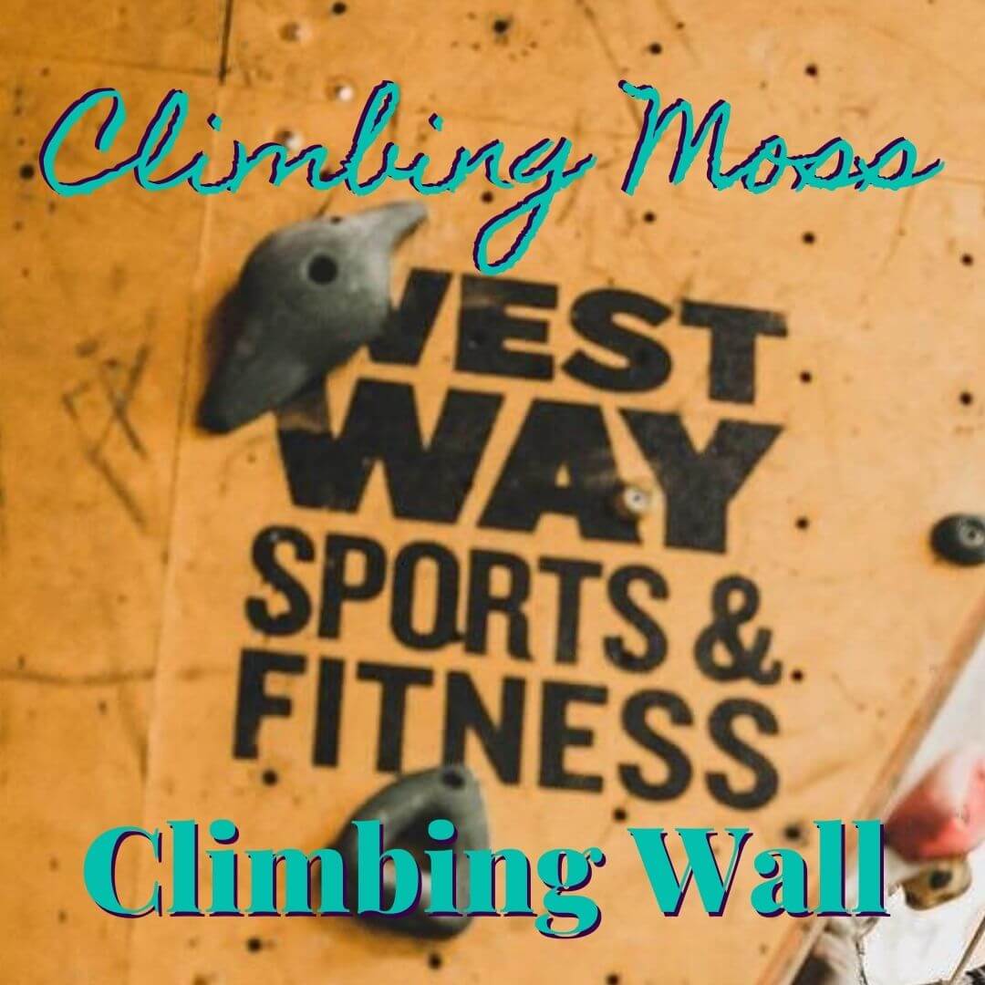 Your Guide to Climbing at Westway Sports Centre