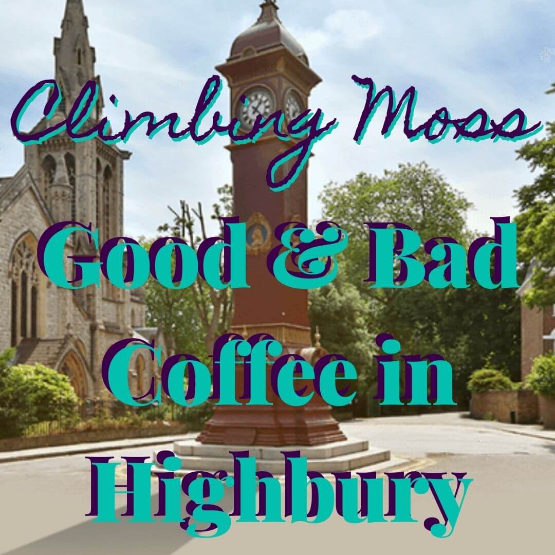 Highbury Fields’ Coffee: Highness vs. The Oasis Cafe
