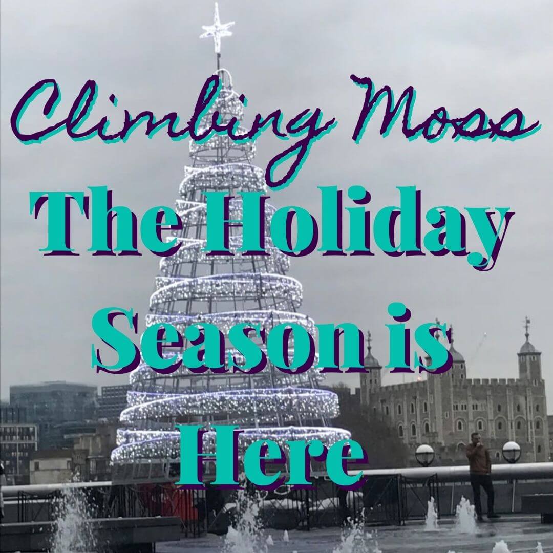 Christmas Traditions and Mulled Wine Adventures