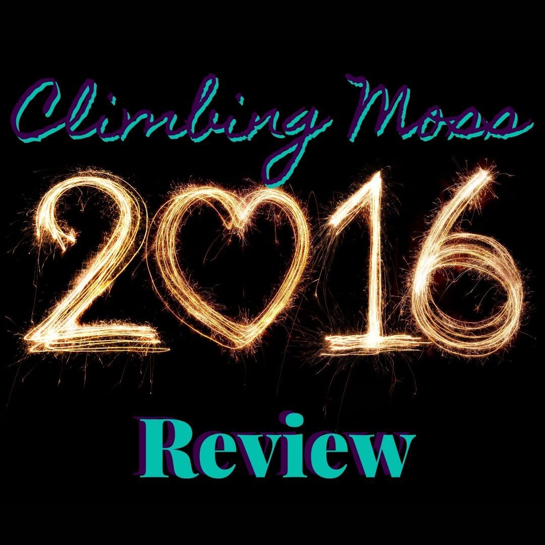 Review Of 2016