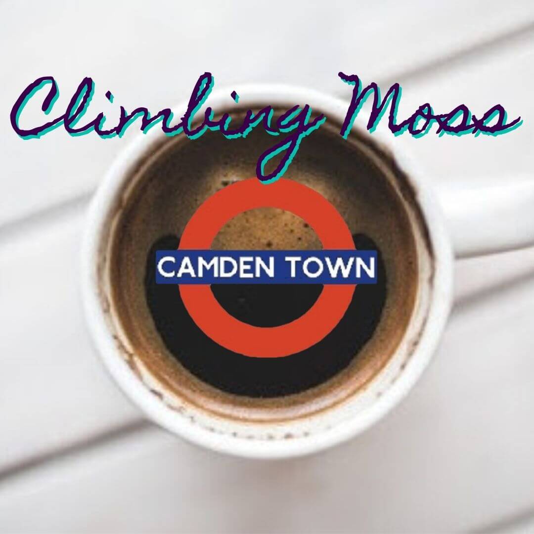 Camden’s Coffee Scene: A Tale of Two Cafes
