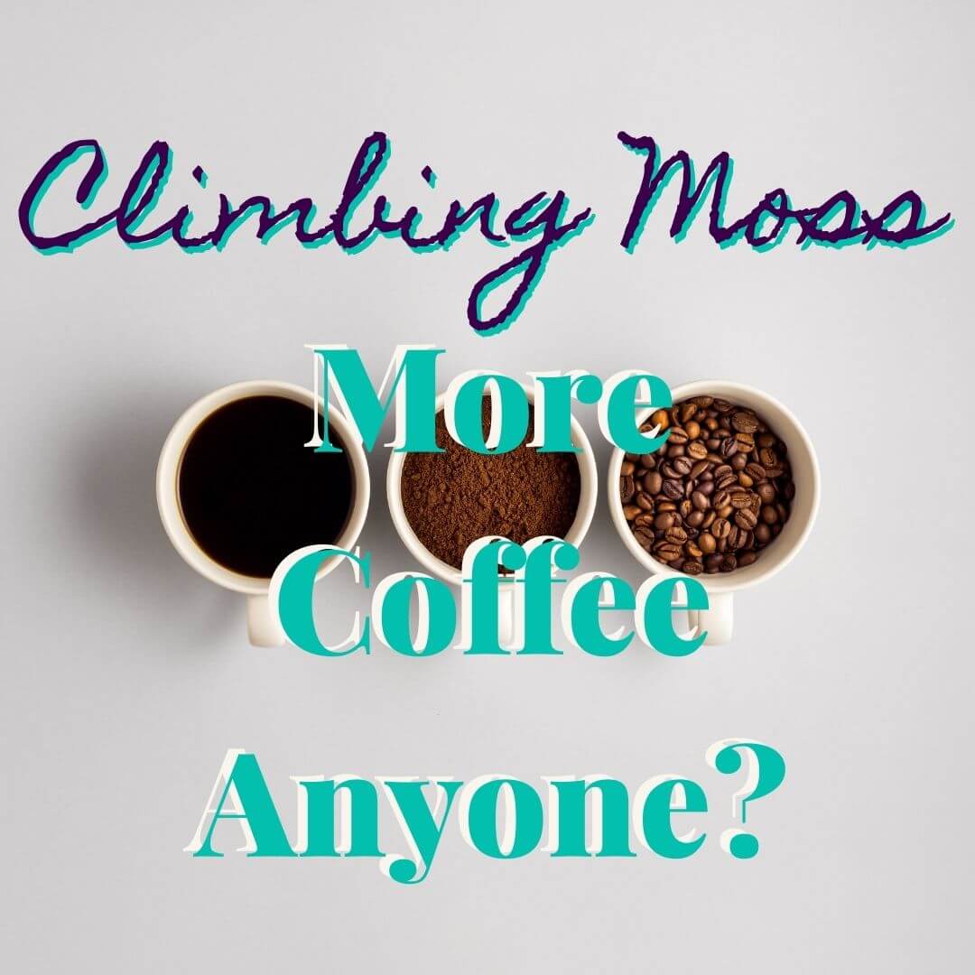 More Coffee Anyone?