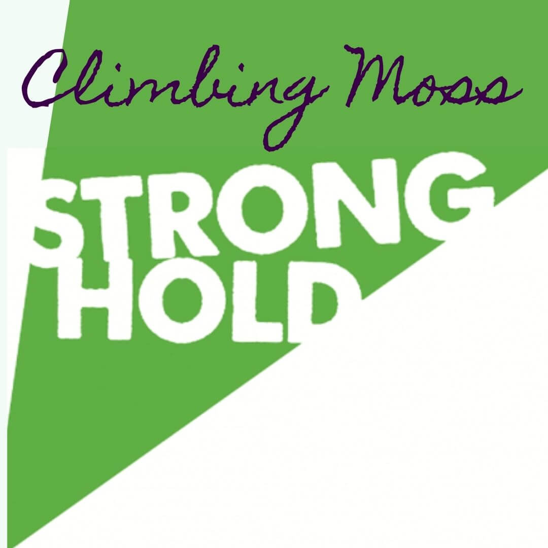 Stronghold Climbing