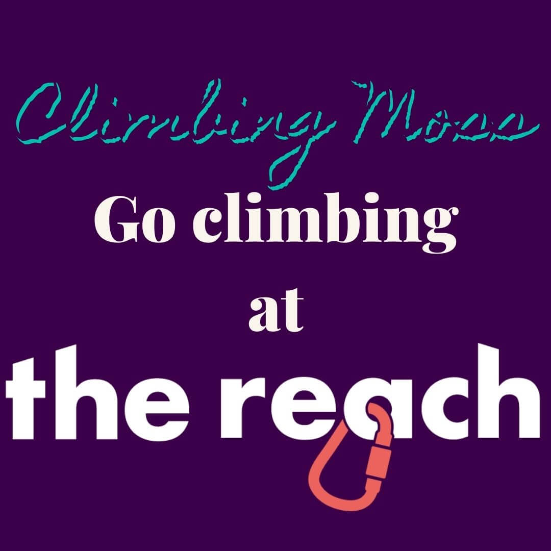 The Reach Climbing Wall