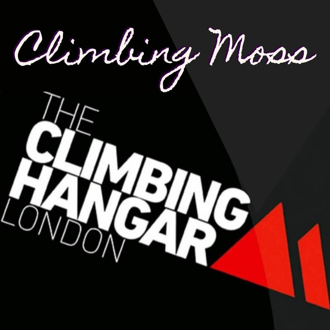 The Climbing Hangar