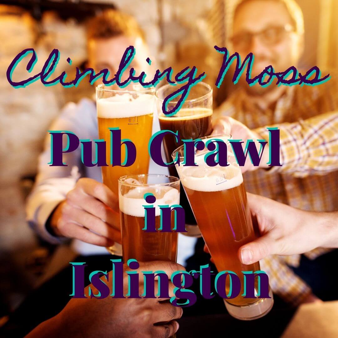 Pub Crawls in Islington