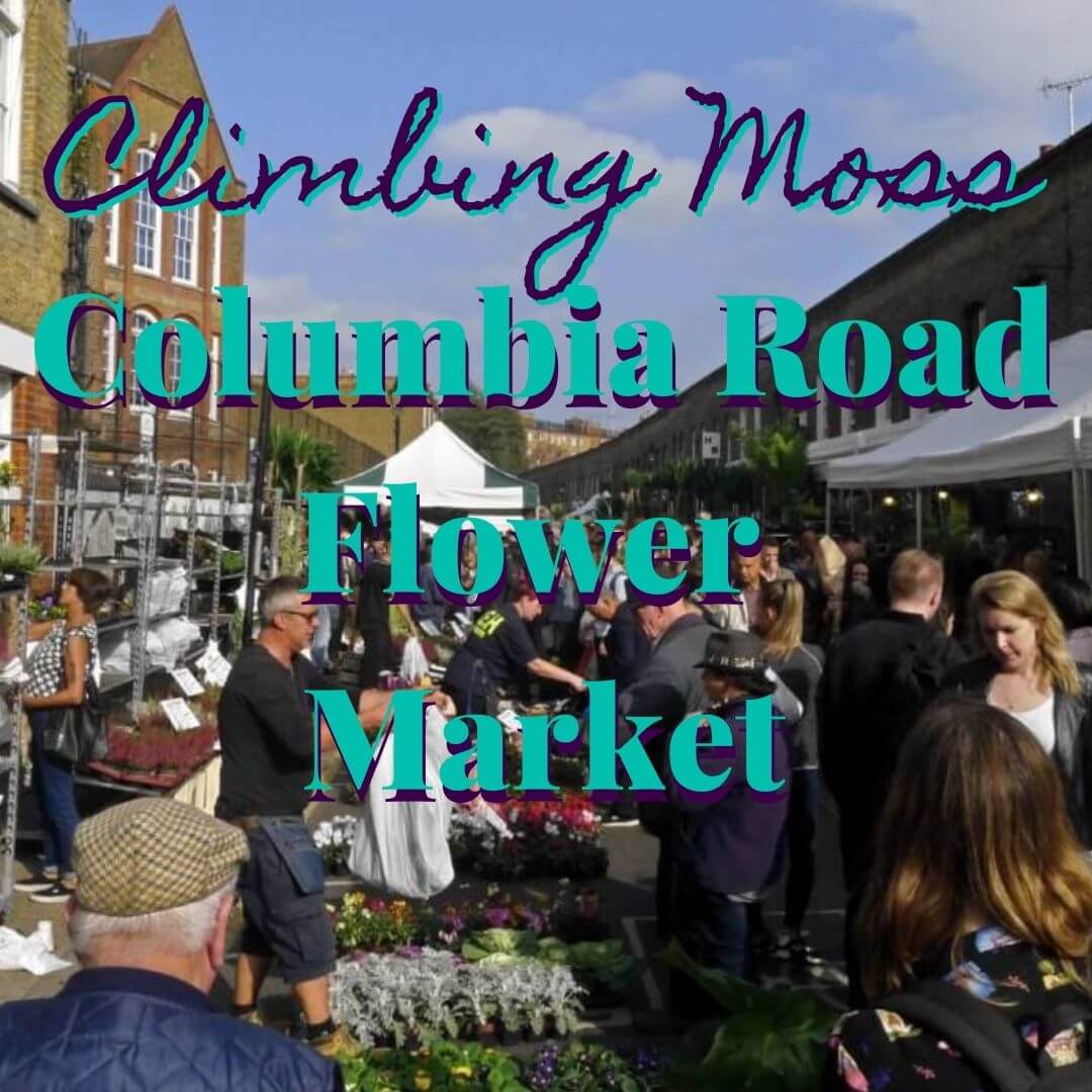Columbia Road Flower Market