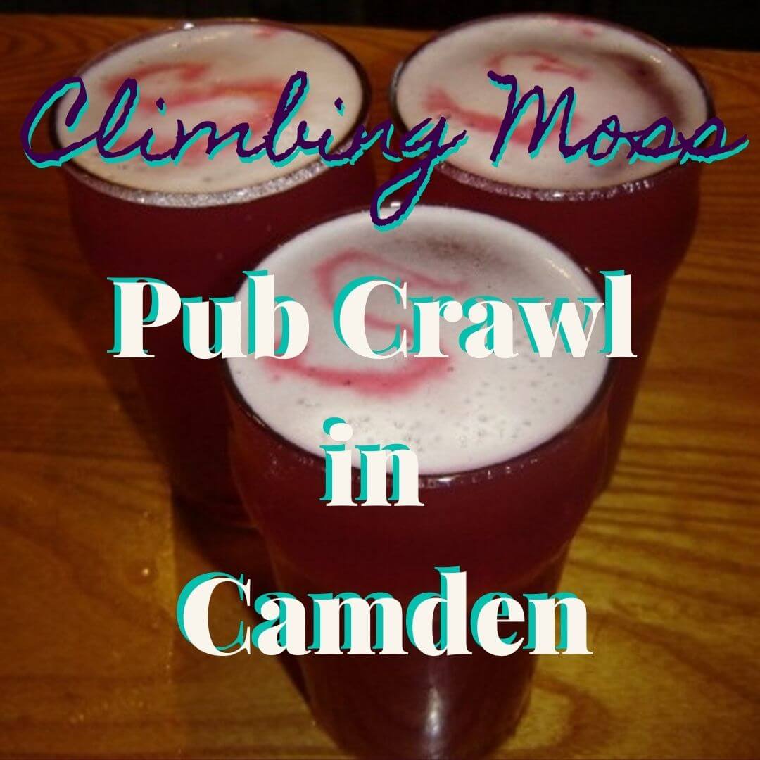 Pub Crawls in Camden