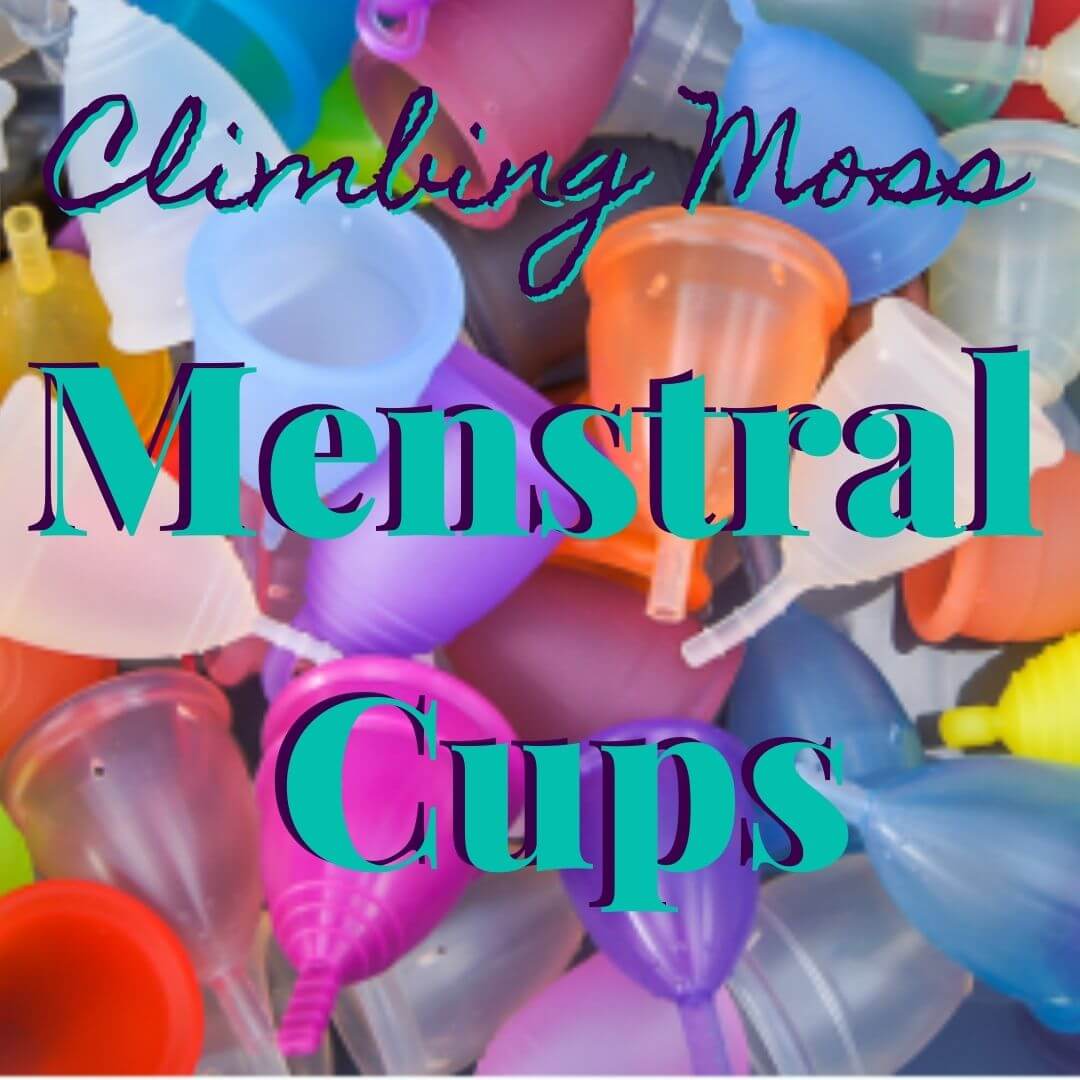 Ladies Cup Review by Bob