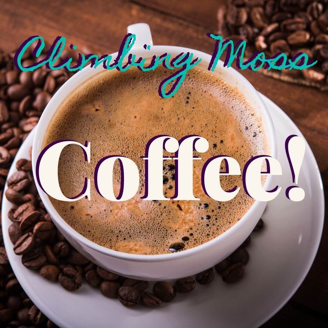 Coffee Shop Mega Post April 18