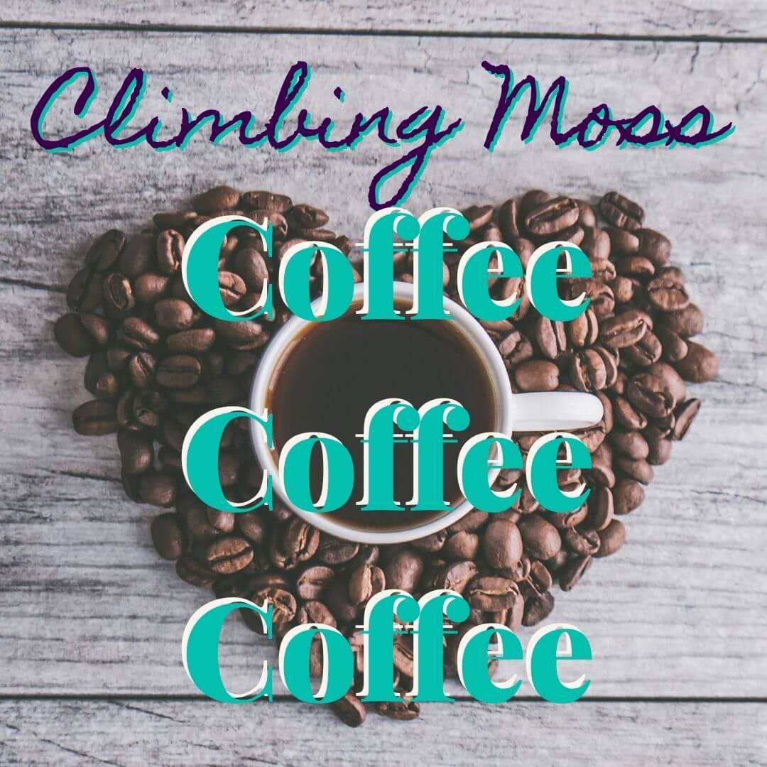 Coffee, Coffee