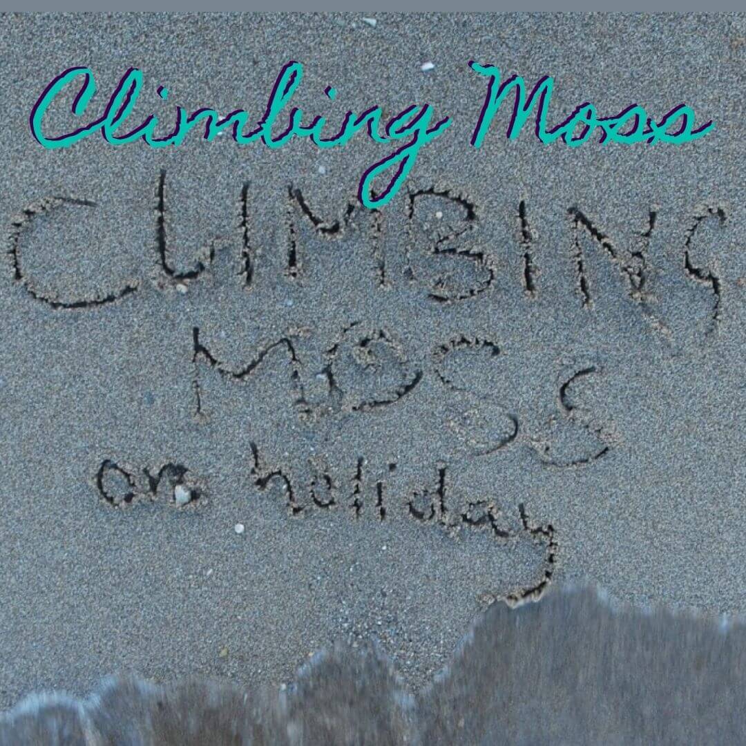 Climbing and Bouldering in Corsica
