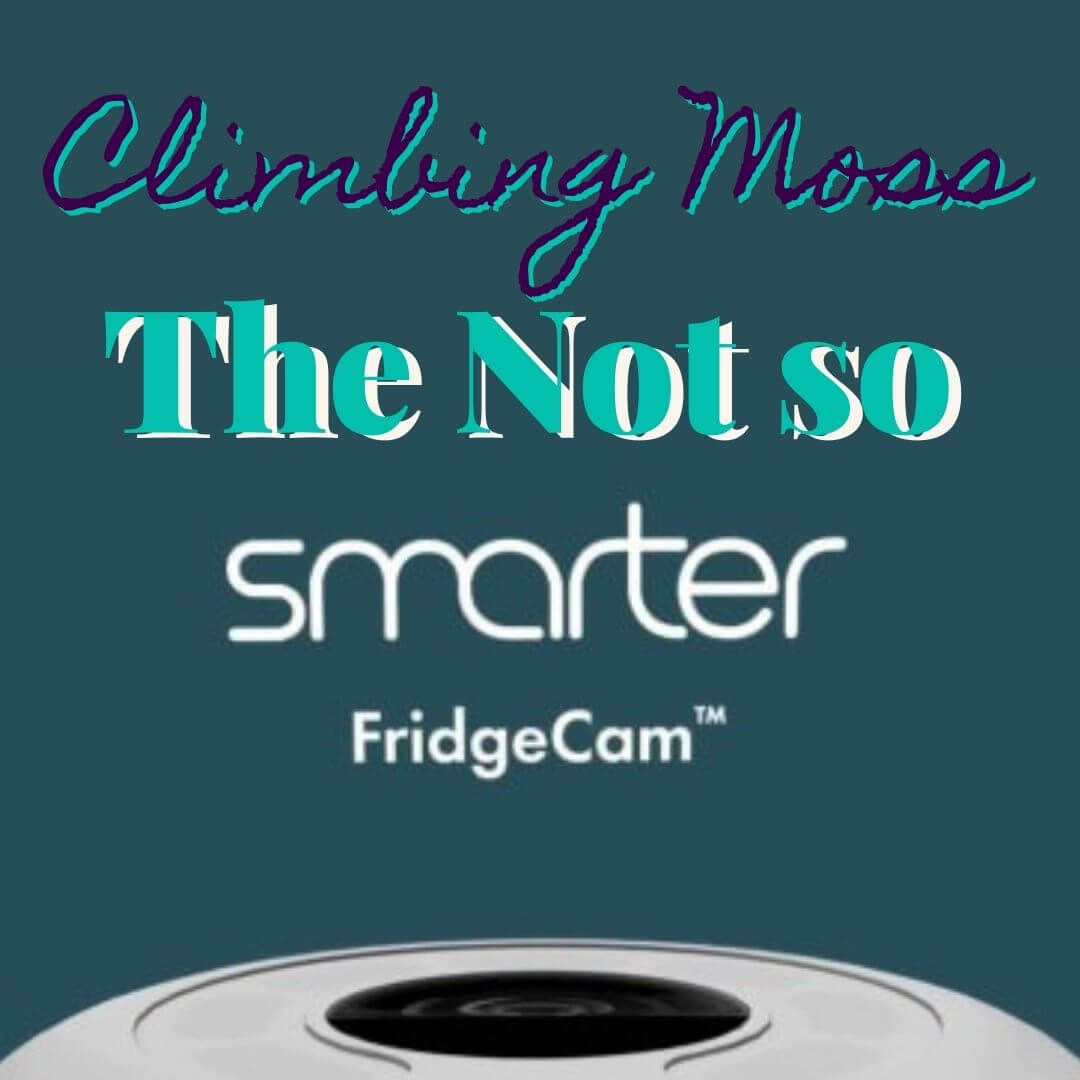 The Not So ‘Smarter FridgeCam’