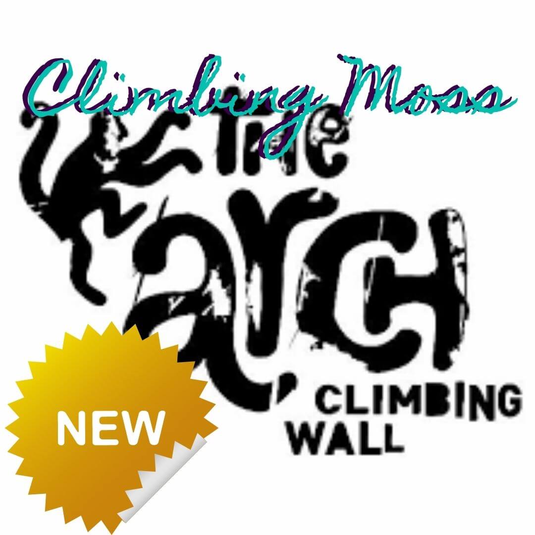 A New Arch