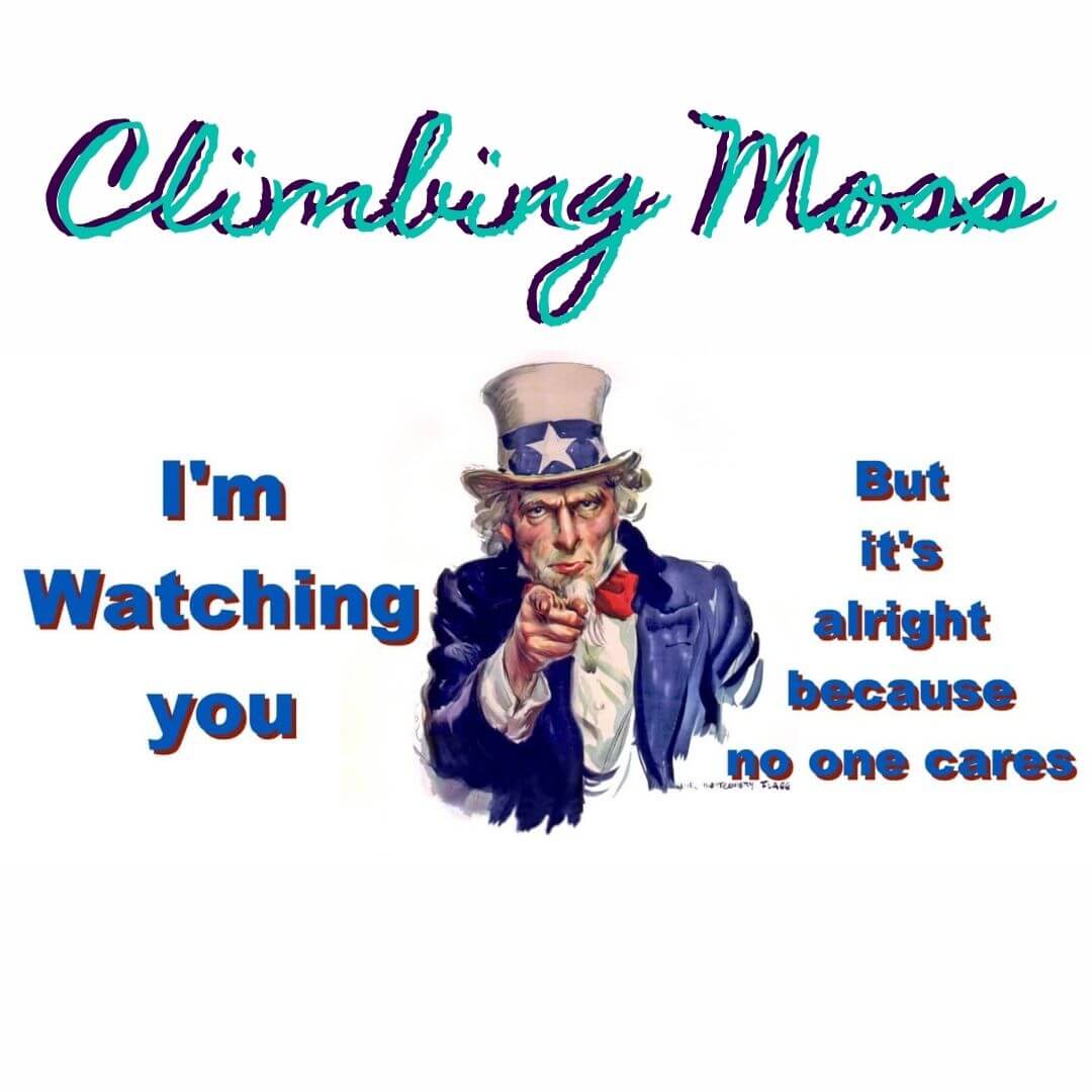 They are watching you, but it’s ok
