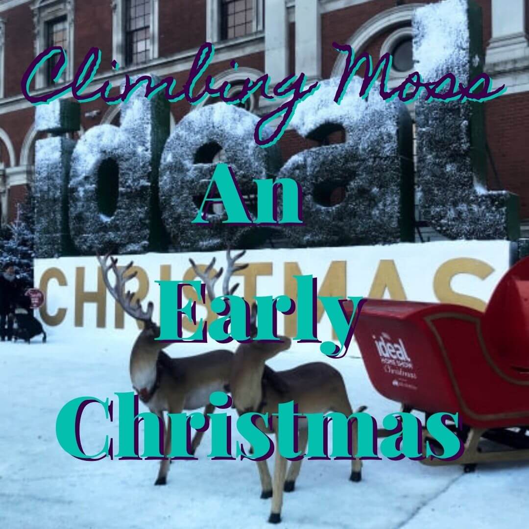 An early Christmas