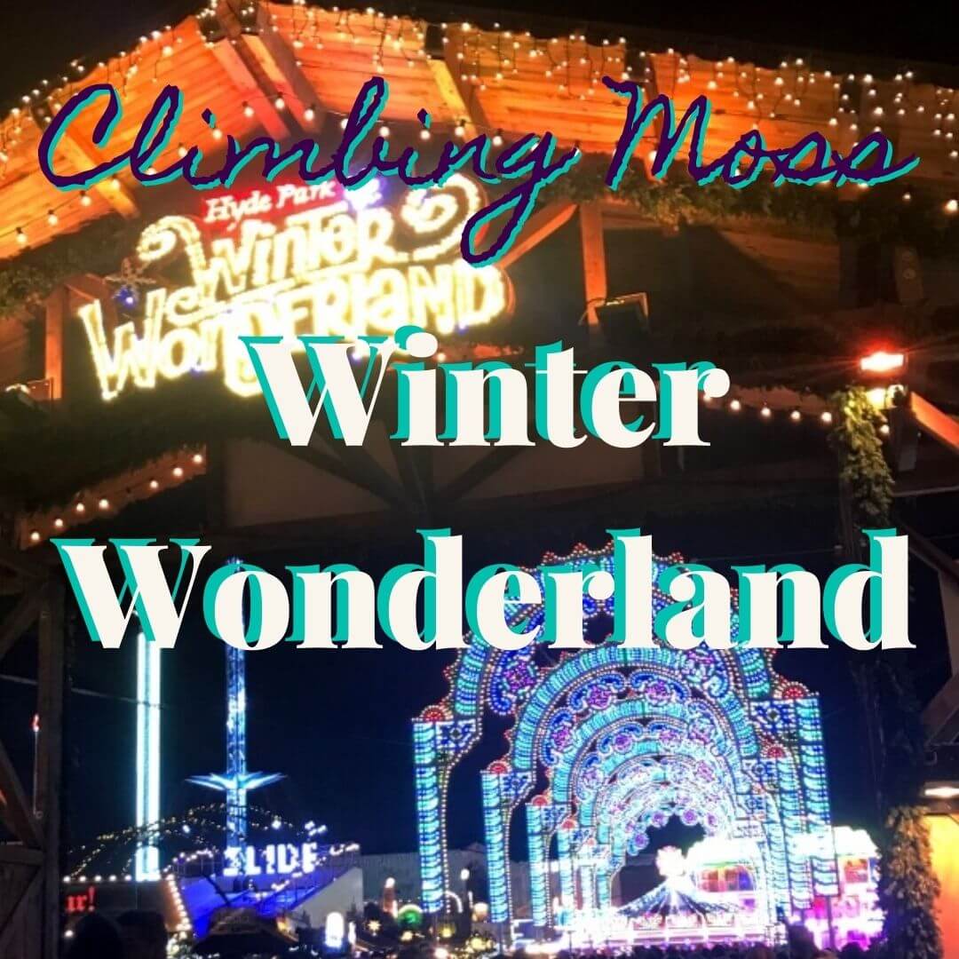 Walking in a Winter Wonderland