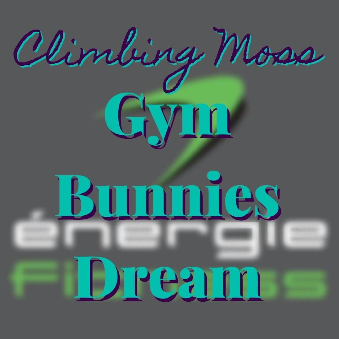 Gym Bunnies dream