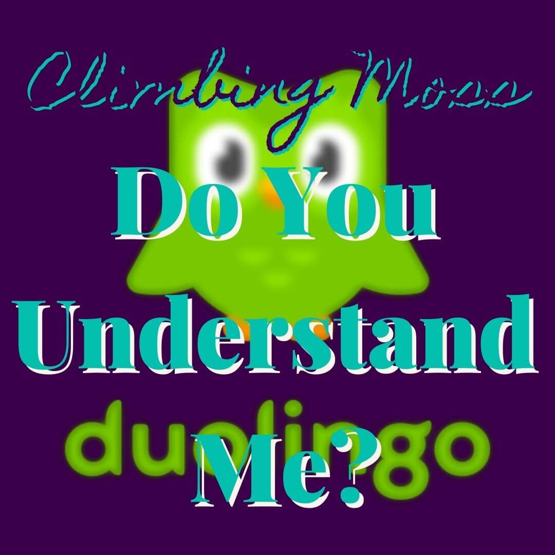 Do you understand me?