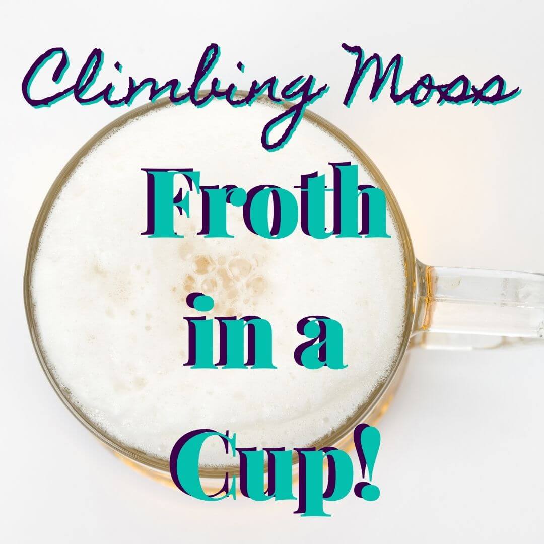 Froth in a cup
