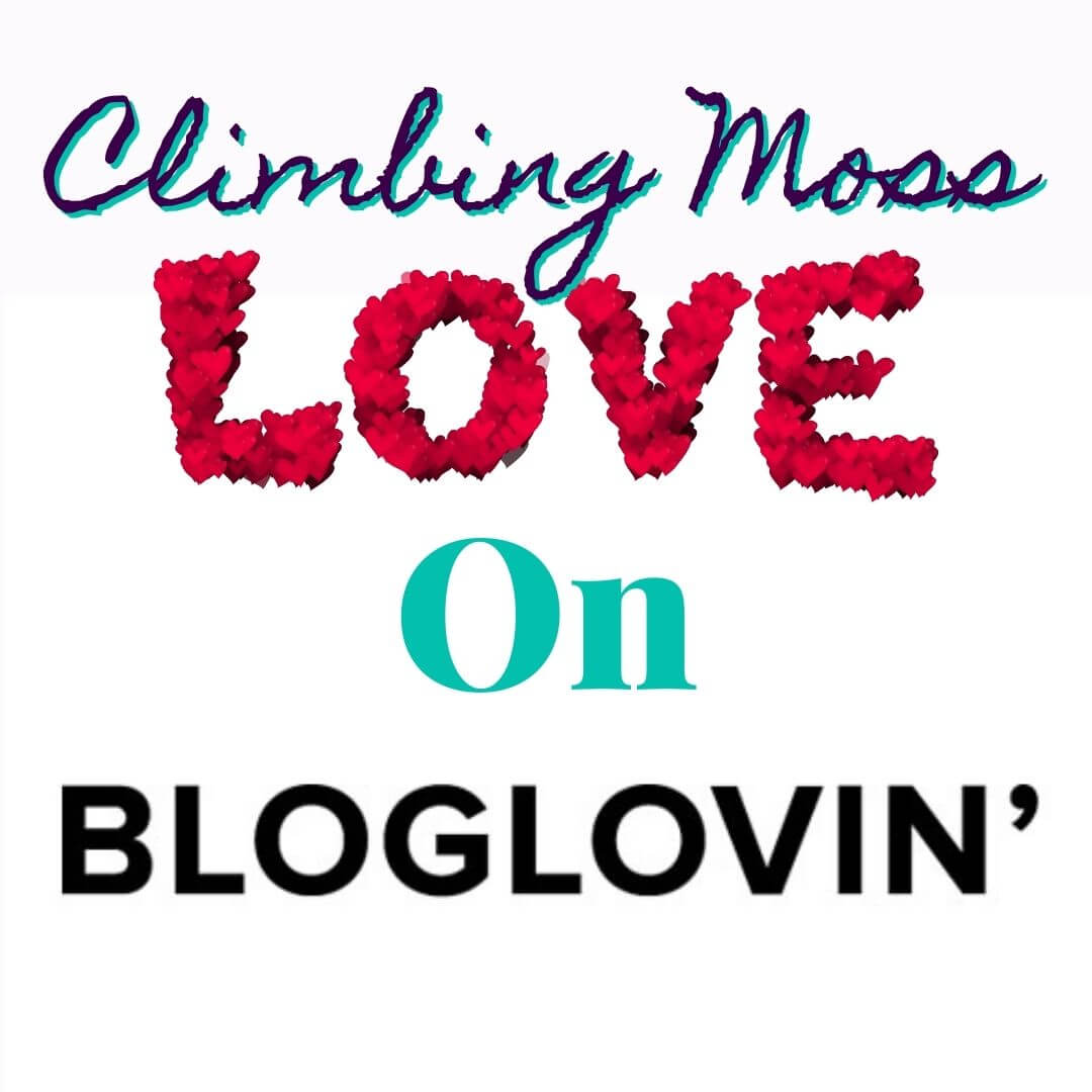 Love on Bloglovin’