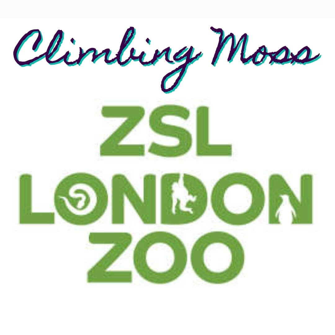 ZSL Stands for – Zebra’s Sleep eLswhere –