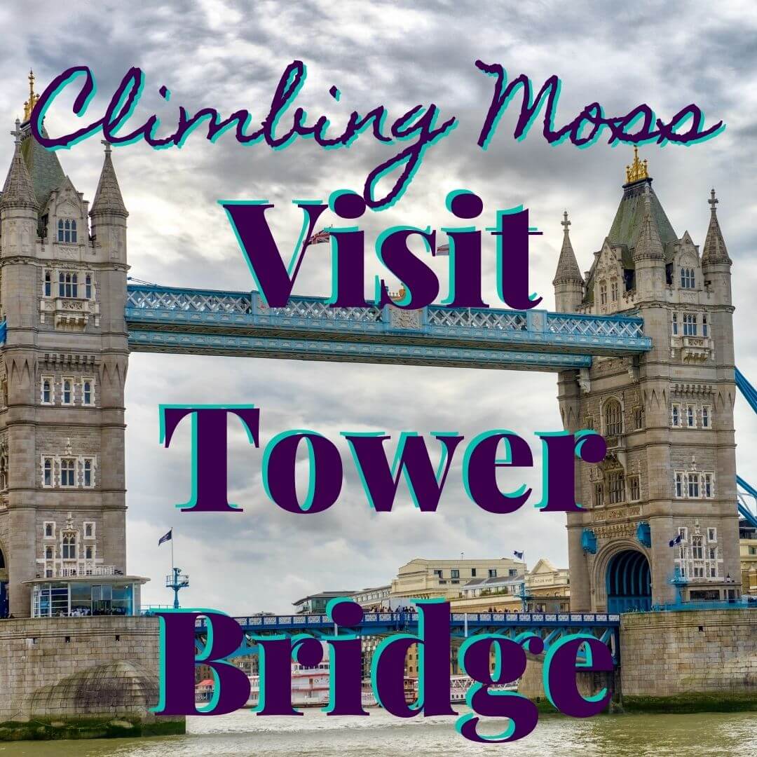 Tower Bridge