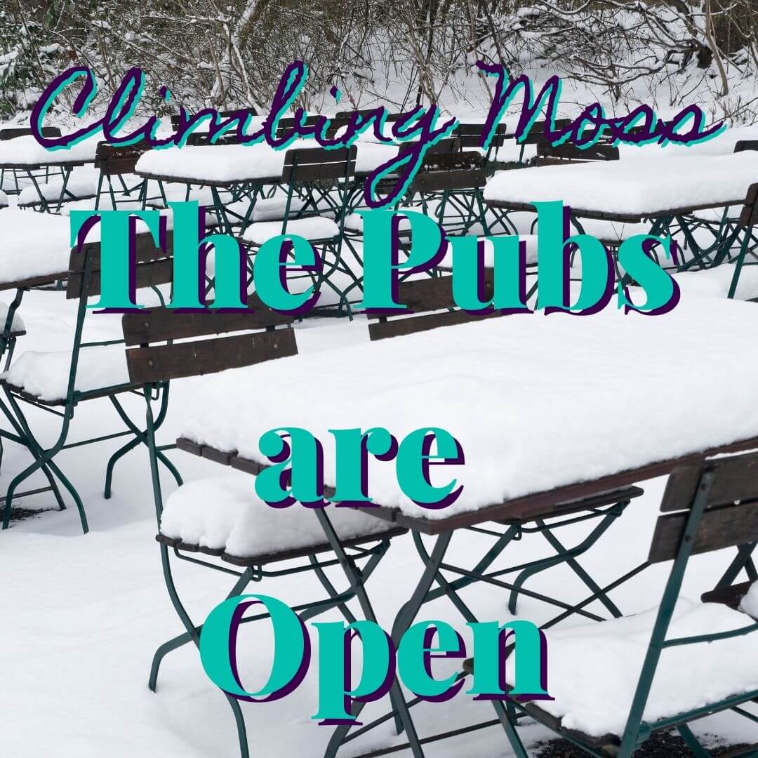 The Pubs Are Open!!!