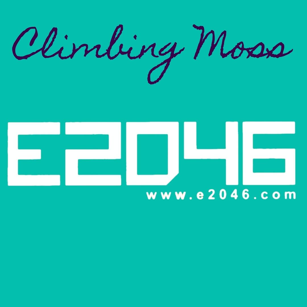 E to the 2046