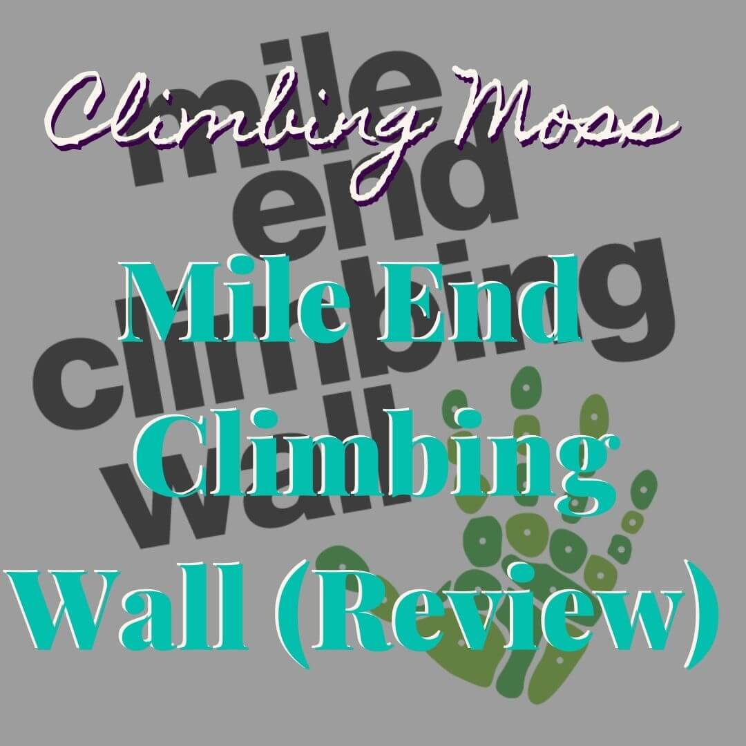 Mile End Climbing Wall review