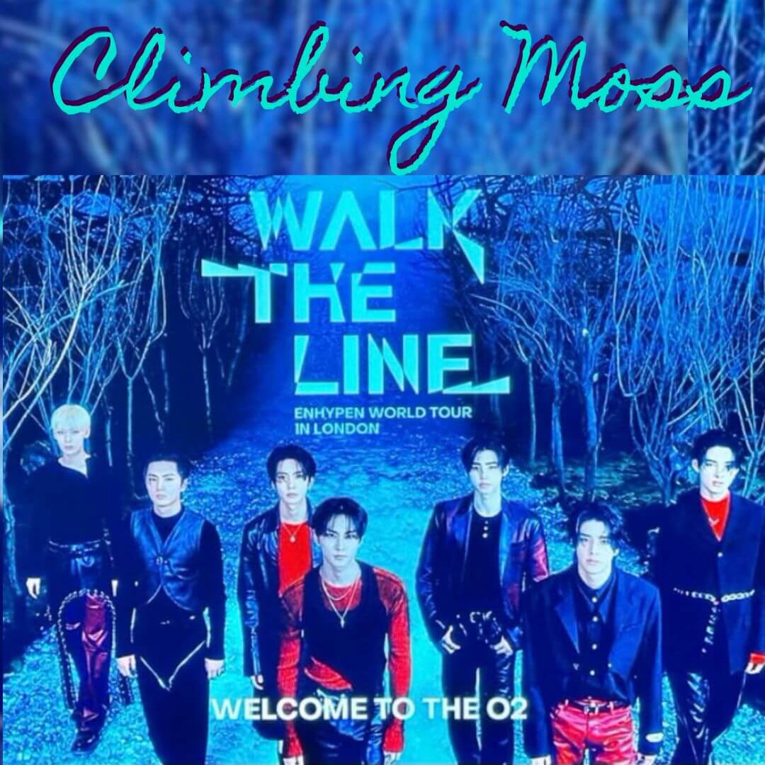 copy-of-climbing-covers-weekly